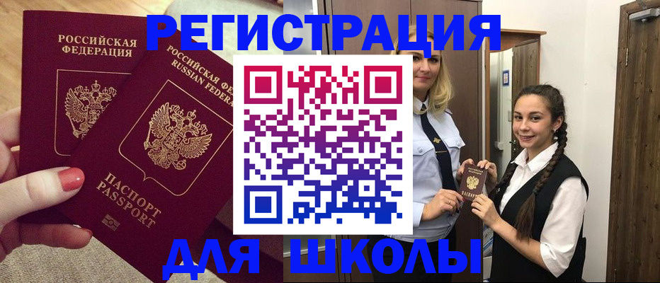 прописка для школы в Волосово